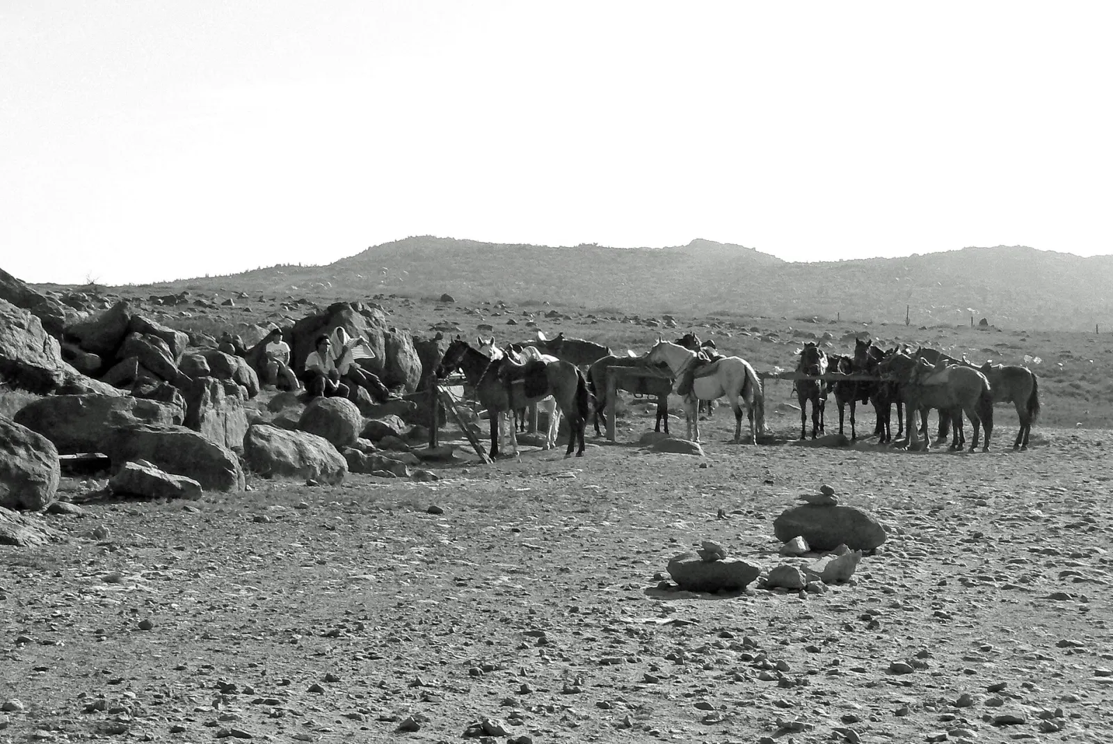 Horseback riding