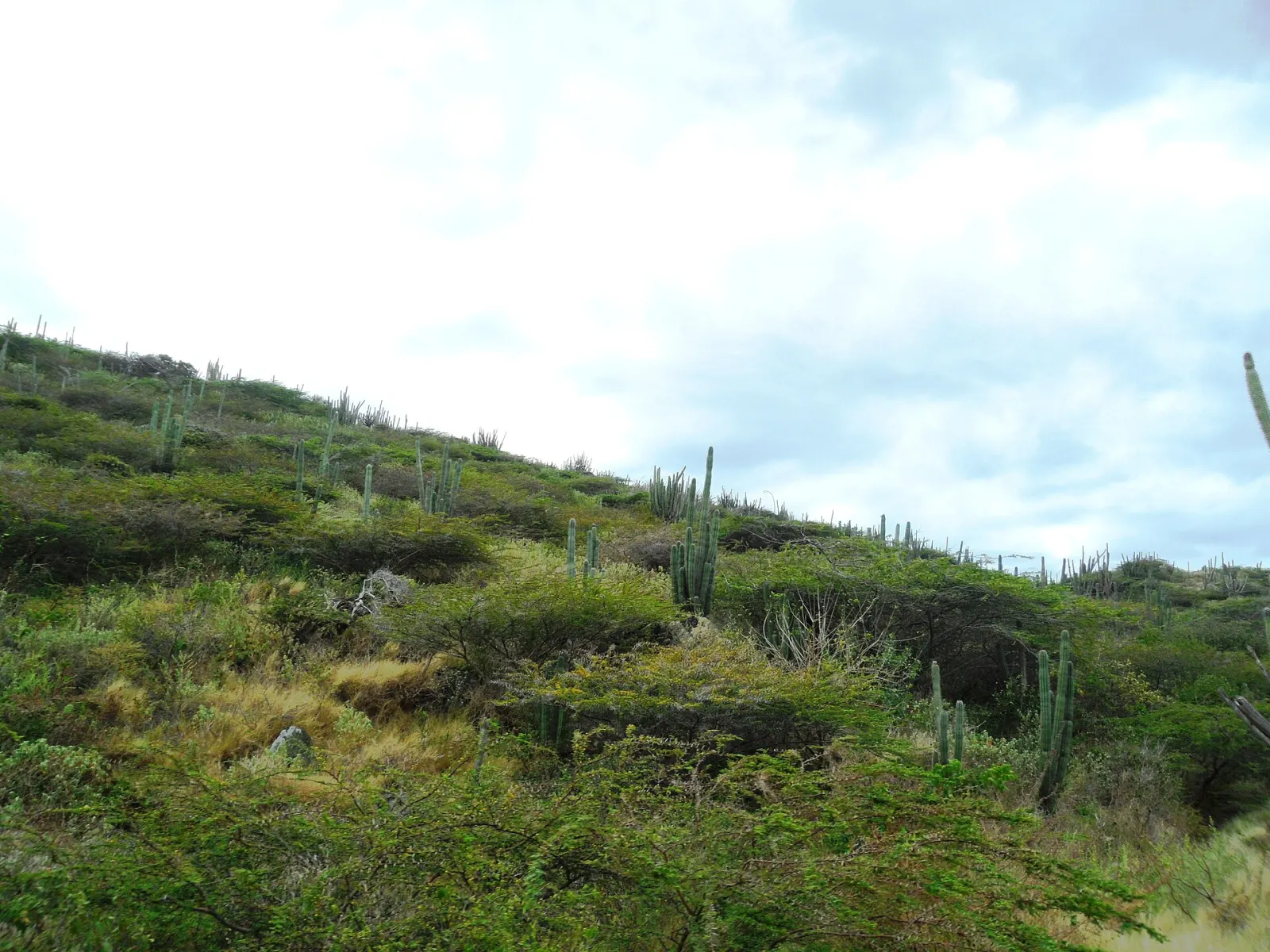 Parque Nacional Arikok
