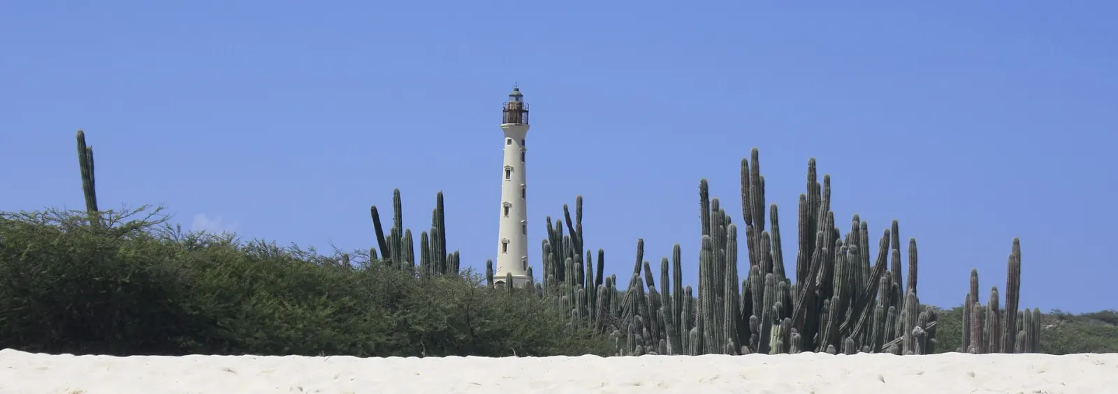 California Lighthouse