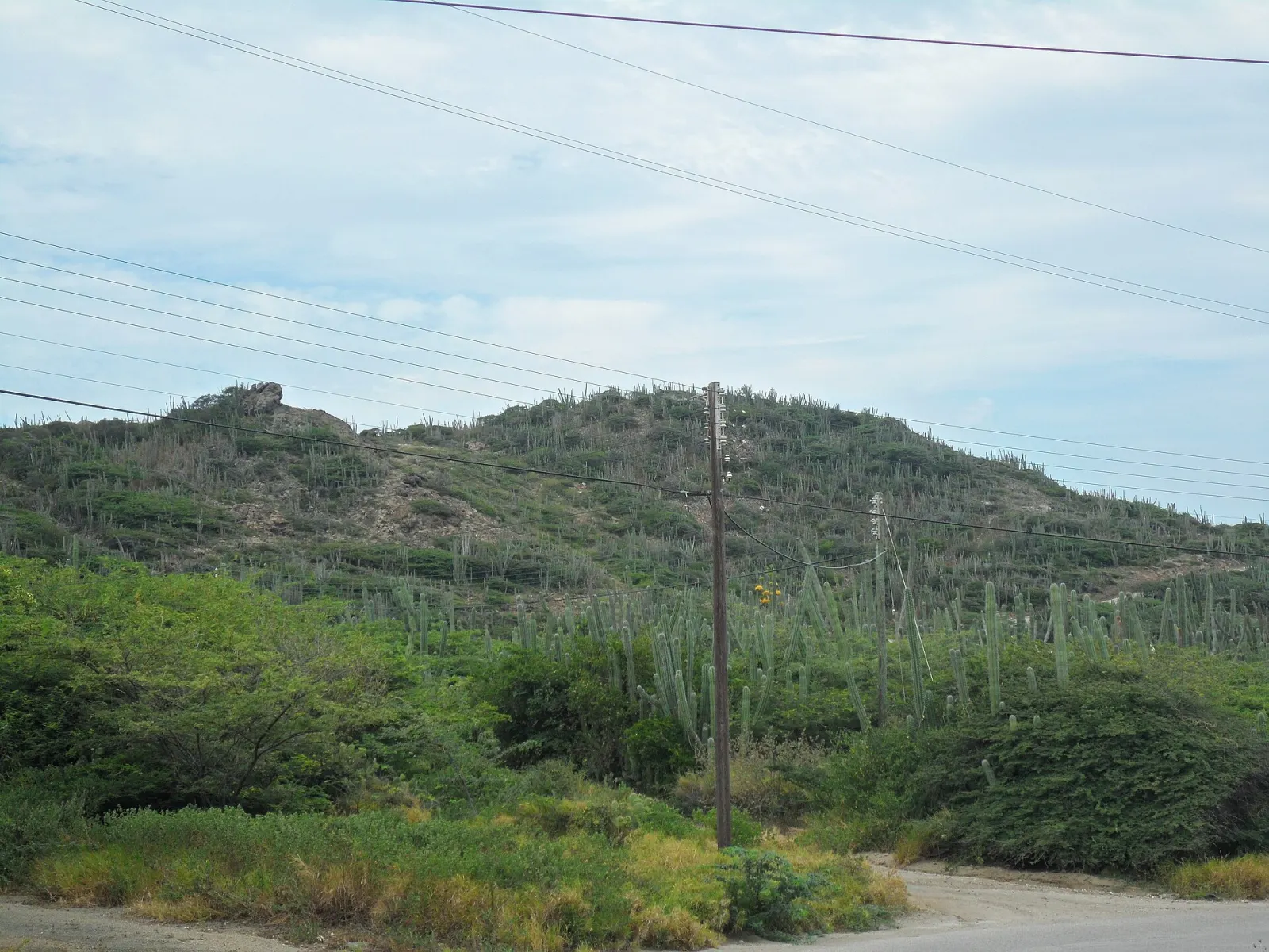 Hooiberg