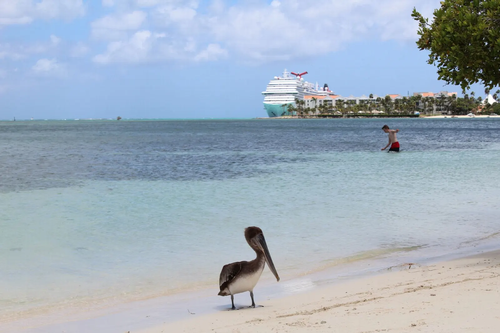 Aruba Ocean Villas